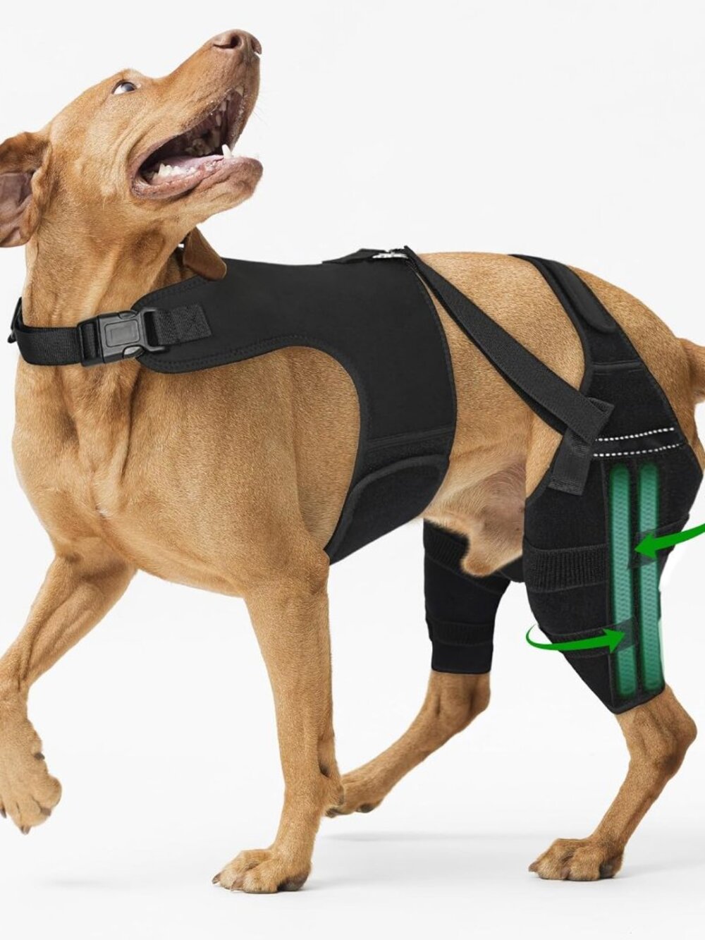 Dog Knee Brace for Back Leg, Adjustable Dog Leg Brace with 4 Stabilizers